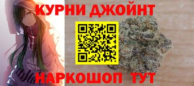 гашик Ливны
