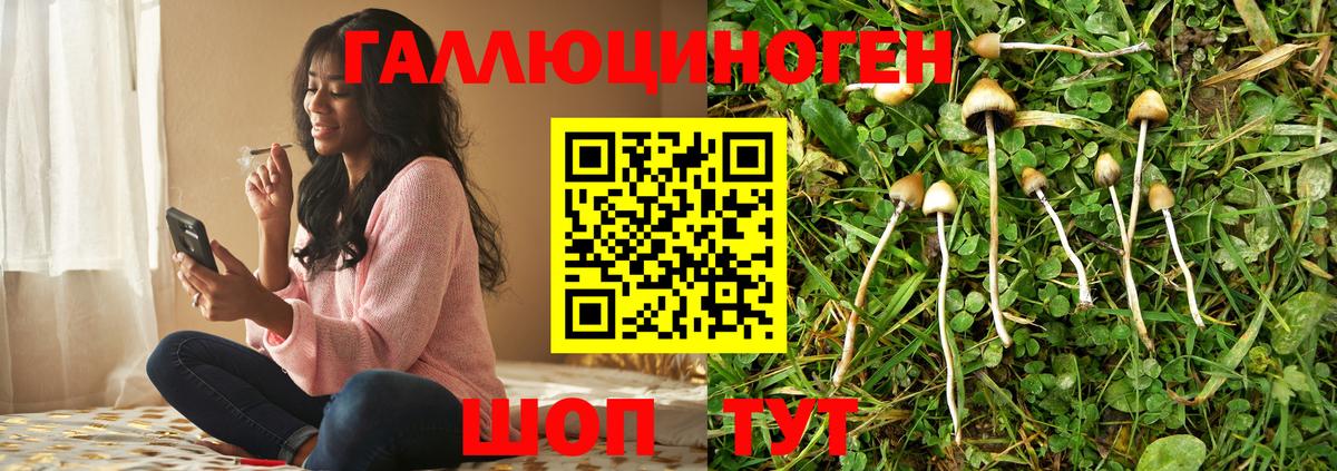 как найти закладки  Вход с VPN  Вязьма  Псилоцибиновые грибы Magic Shrooms 