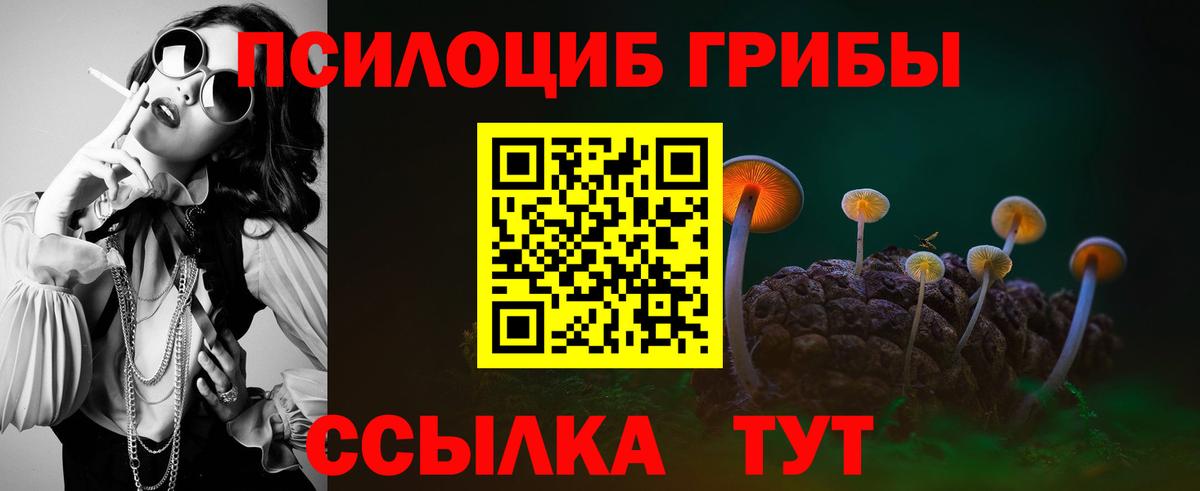 Псилоцибиновые грибы GOLDEN TEACHER Вязьма